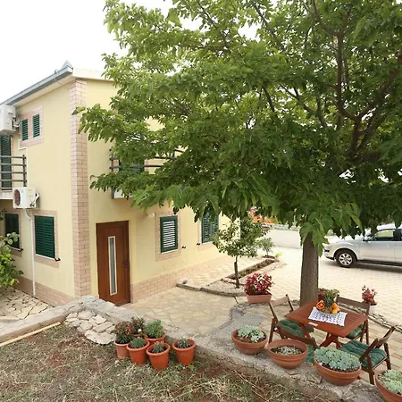 Villa T-Rex Grohote