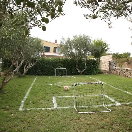 Villa T-Rex Grohote